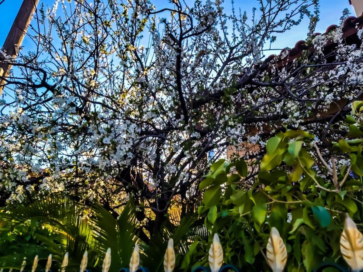 West Garden At Aigio By Greece Apartments 외부 사진