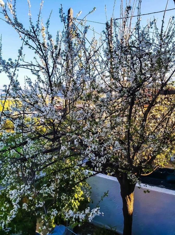West Garden At Aigio By Greece Apartments 외부 사진